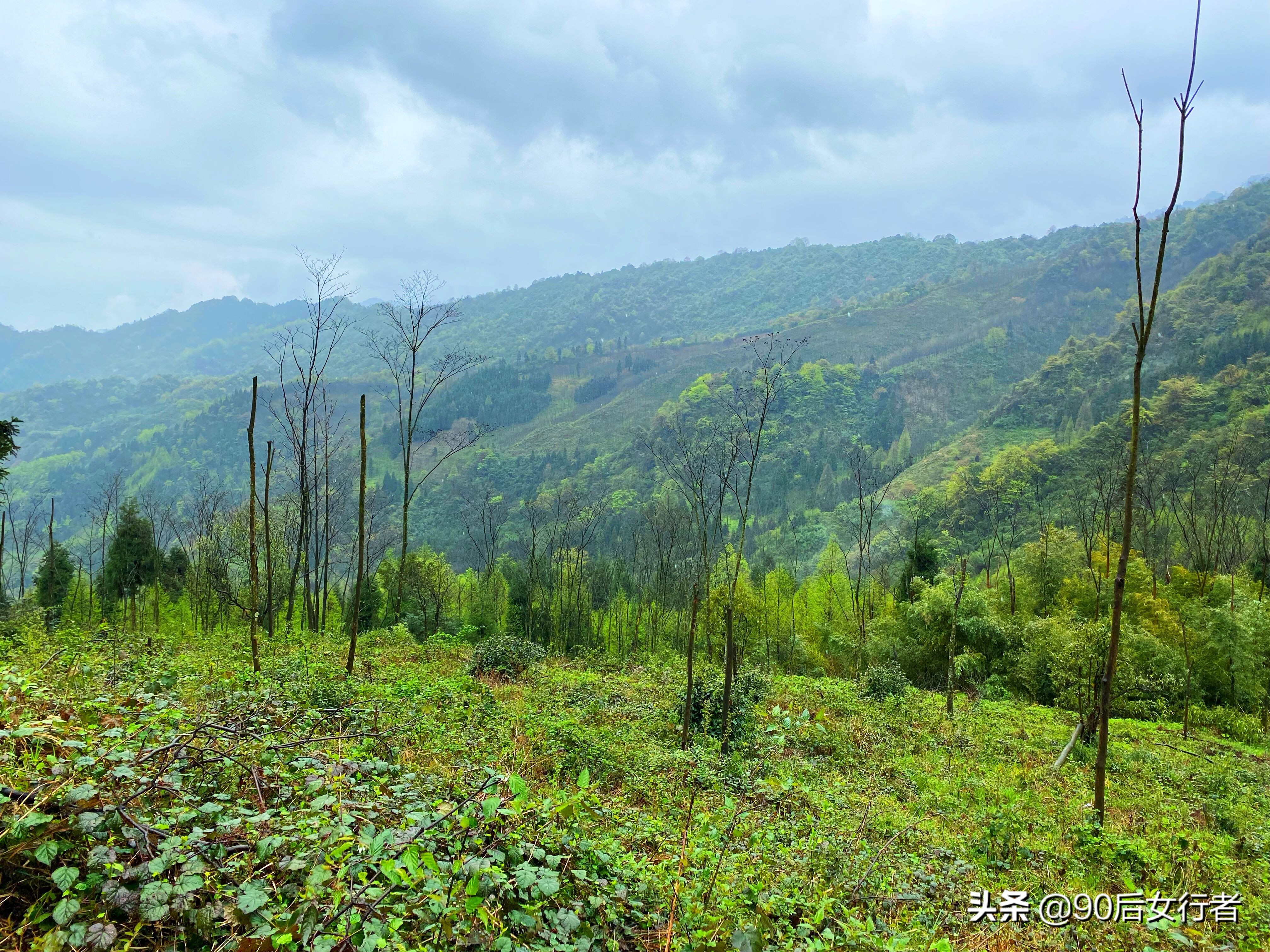 雨天徒步十里长山凹,走进大自然翻山越岭户外徒步