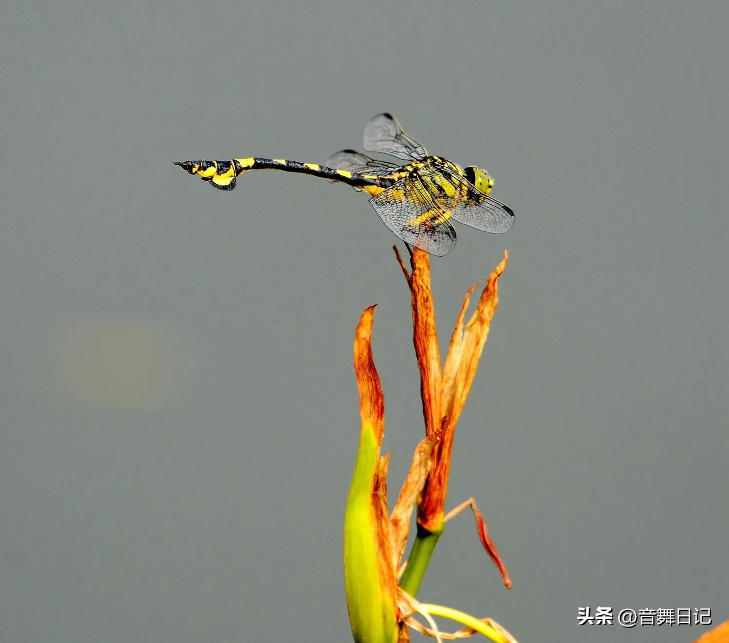 做自己不喜欢的工作才是最累的,每天做自己不感兴趣的工作好累
