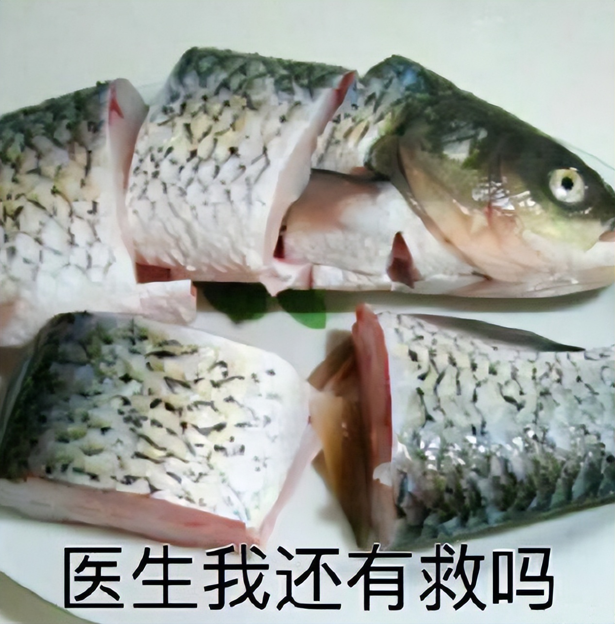 七匹狼腰带搞笑视频,被七匹狼打是一种什么感觉