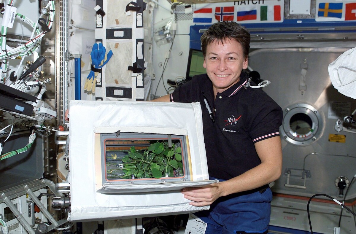 国际空间站有什么用,国际空间站到底有什么用