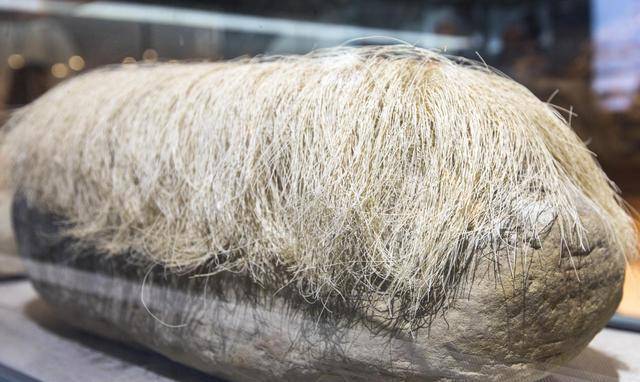 捡到一块石头居然是传说中的生物,村民捡到有耳有眼的神秘石头