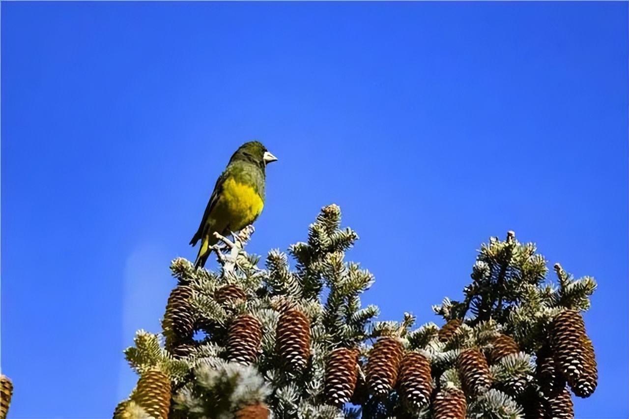 西夏区精品旅游路线,西夏区游玩热门推荐