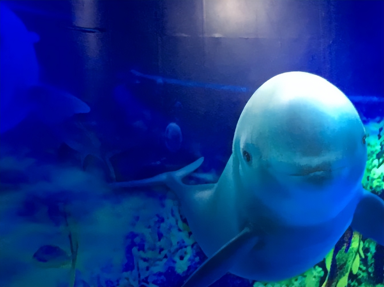 《给首次去武汉的你：奉上一篇超详细的武汉遛娃游玩攻略》