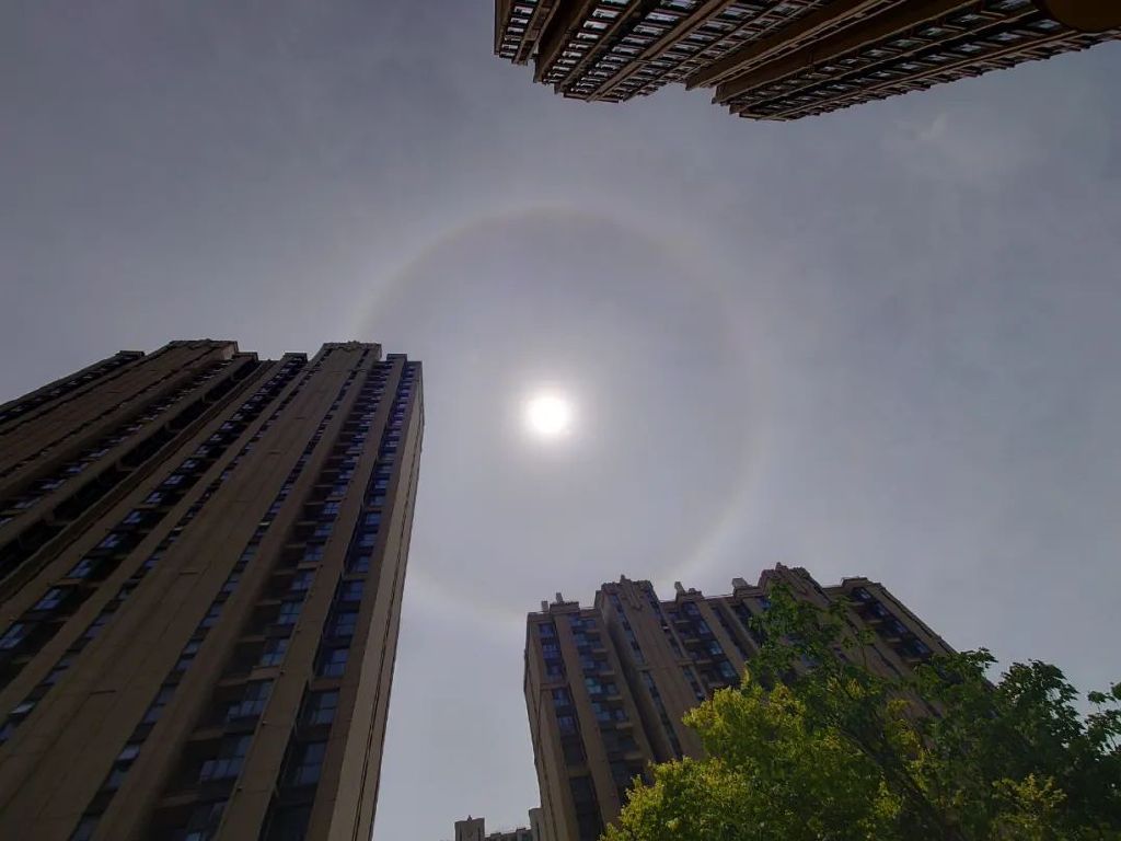 谁是影像机皇,谁才是手机机皇