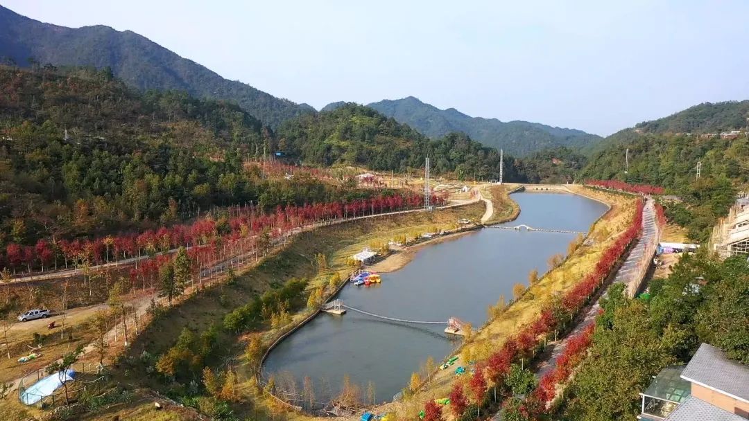 韶关看枫叶的地方,秋天韶关哪里看枫叶最佳
