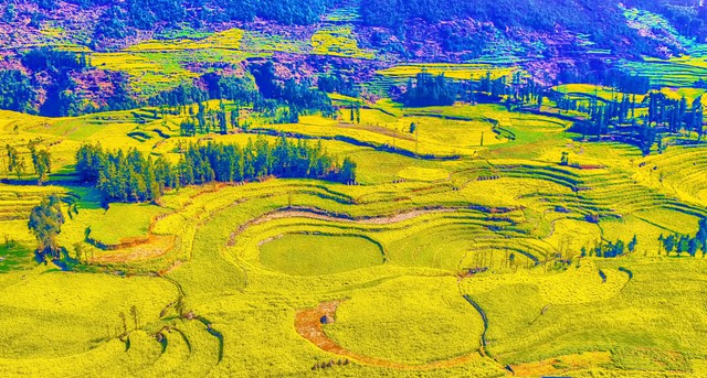 民族特色文化的发展趋势,56个民族里面文化最齐全的有哪些