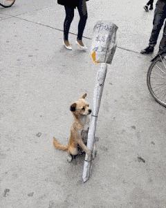 “车间女孩约我去她宿舍玩，这时候应该干点什么？”哈哈哈