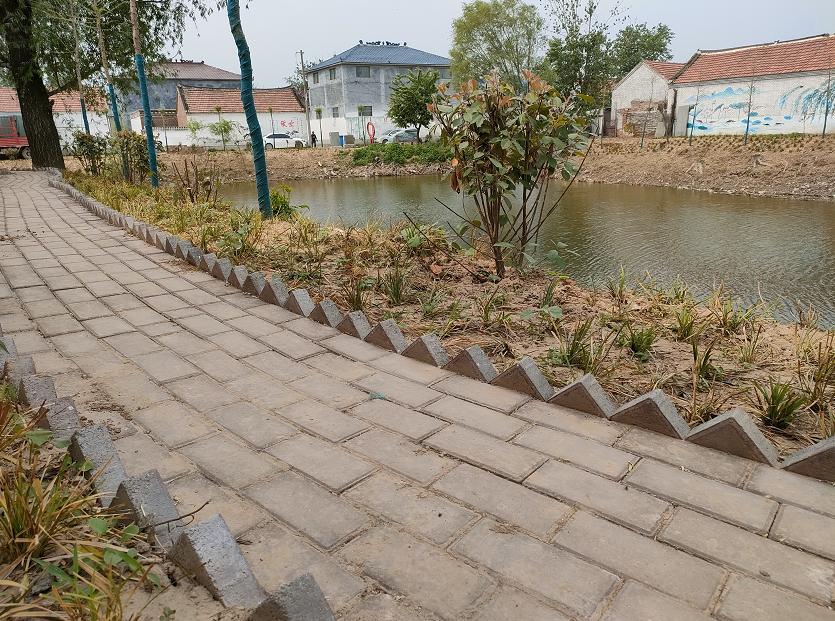 肥乡农村废弃坑塘改造公园案例,废弃坑塘变良田视频