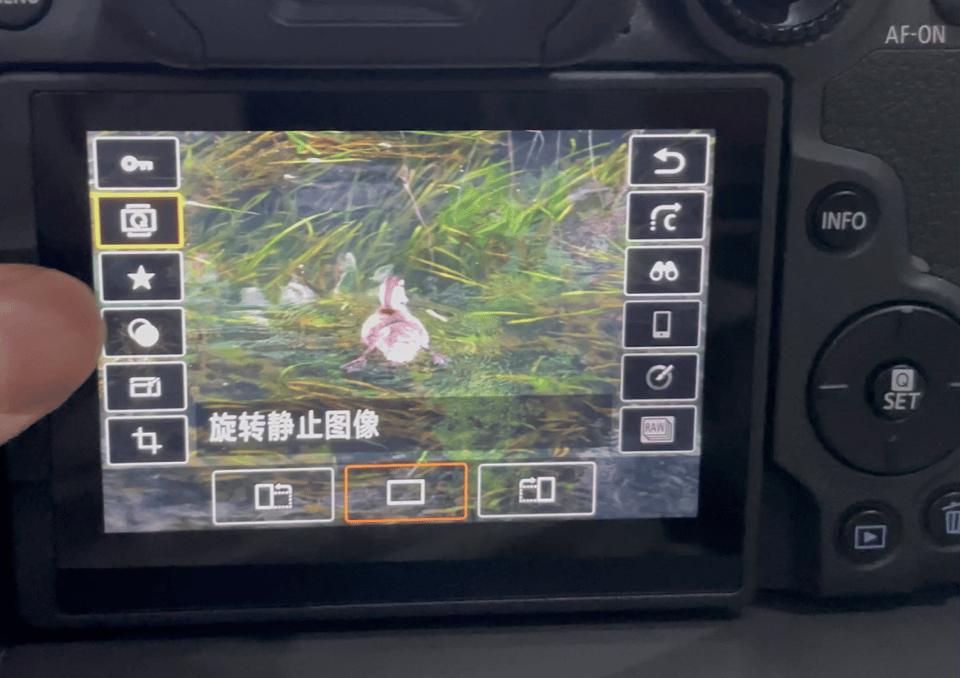 佳能eosr7有哪些镜头,佳能发布eosr7微单什么卡口