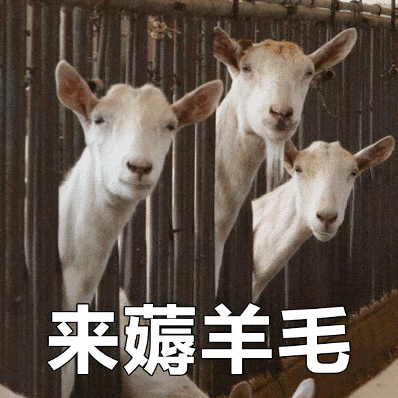 蒙自寒假“嗨逛卡”来了！我带上你，你带上卡……