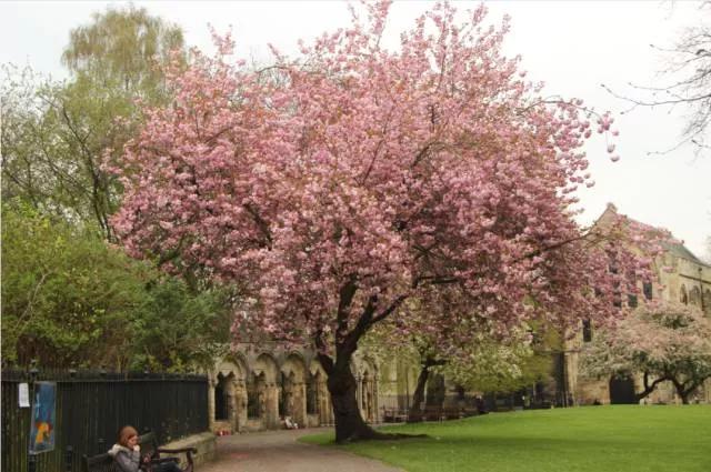 我是中医感悟分享,我自学中医的十年感受和经验