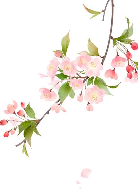 慢性乙型肝炎的最重要的治疗,慢性乙型肝炎的治疗进展文献综述