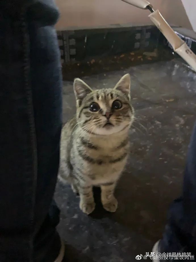 自学考研复试怎么准备,考研复试应该什么时候开始准备