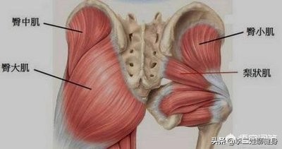 臀部两侧塌陷不饱满瑜伽怎么锻炼,臀部塌陷最佳锻炼方法
