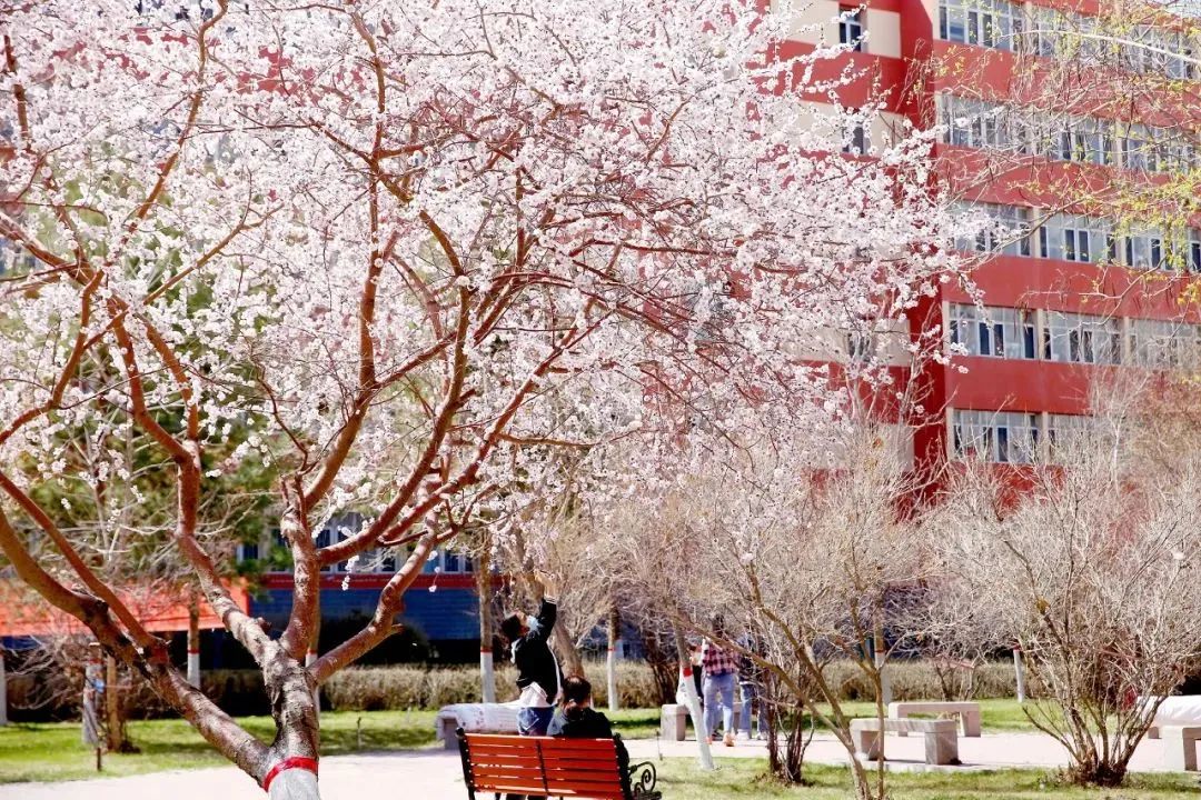 新疆师范大学最新排名,新疆师范大学