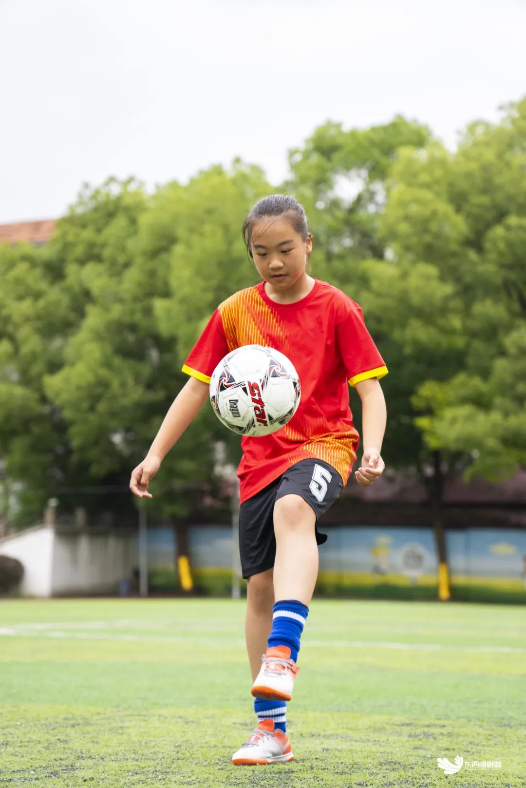 东西湖学校好不好,东西湖区比较好学校