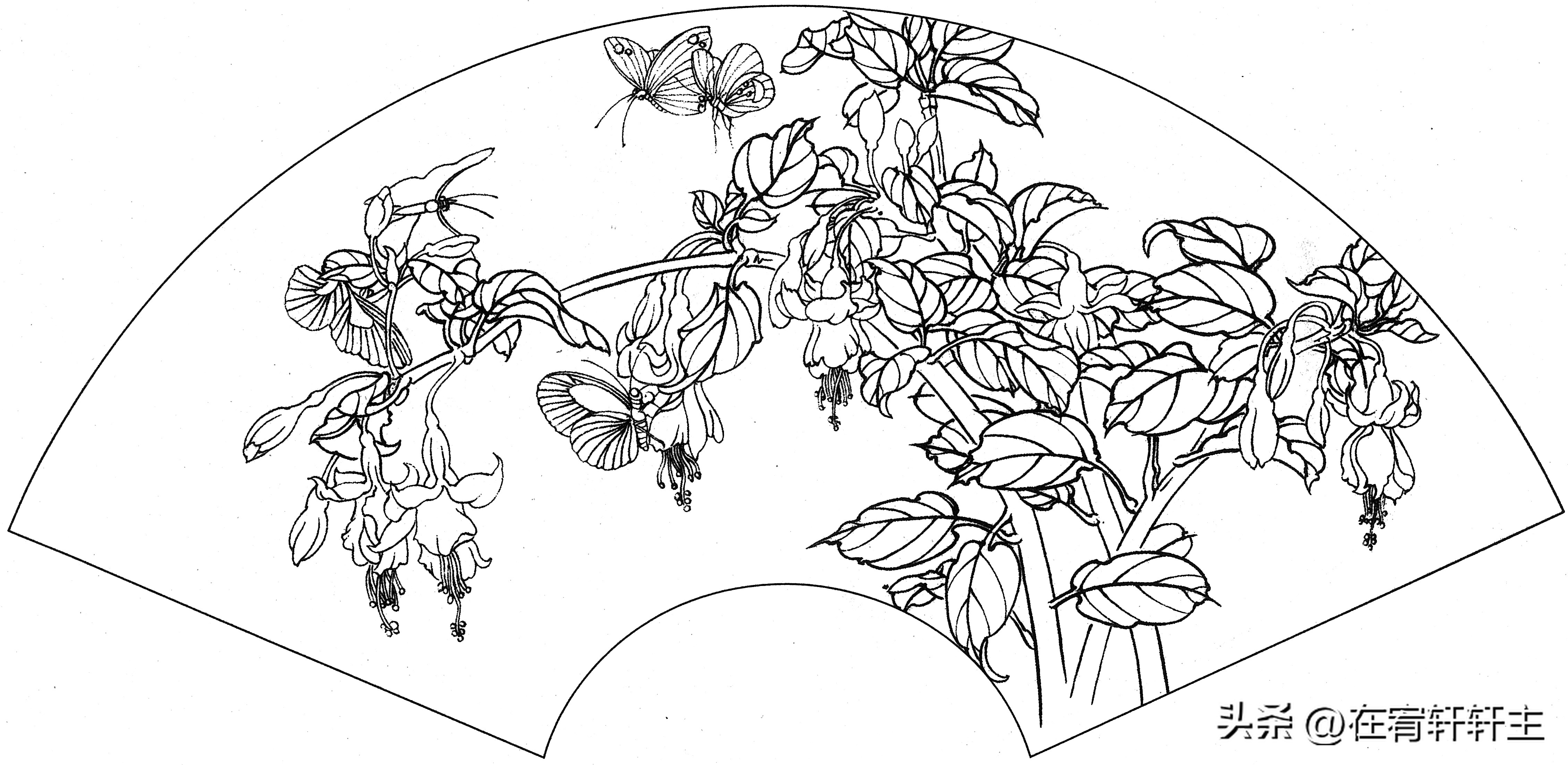 工笔白描祥云图案扇面,工笔扇面葡萄白描图片