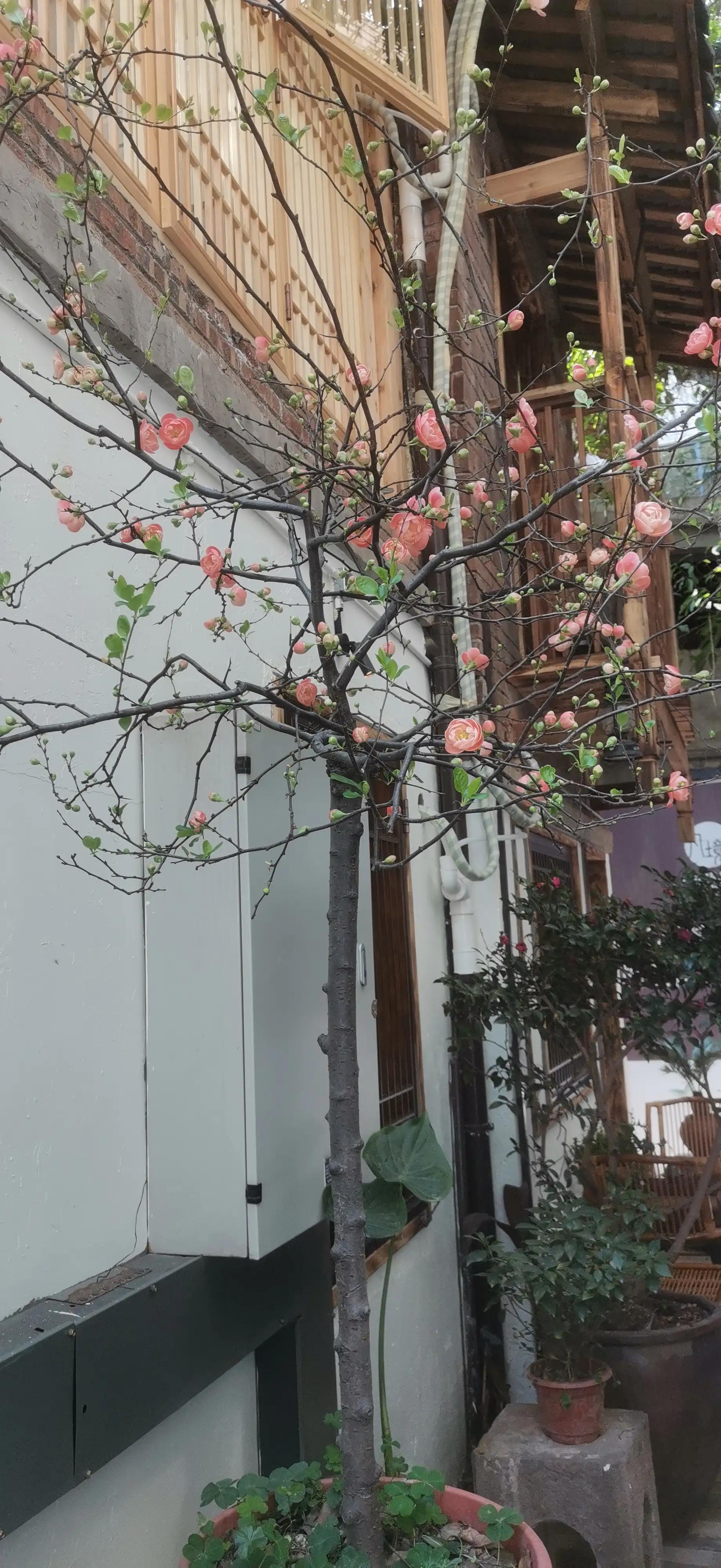 逛重庆车展,逛重庆