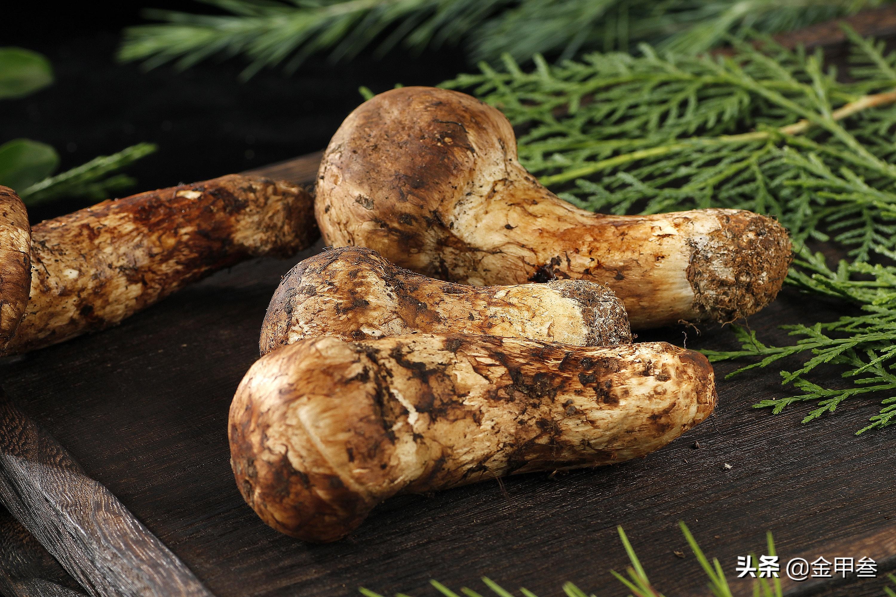 正宗老东北美食,二十多年的老东北美食