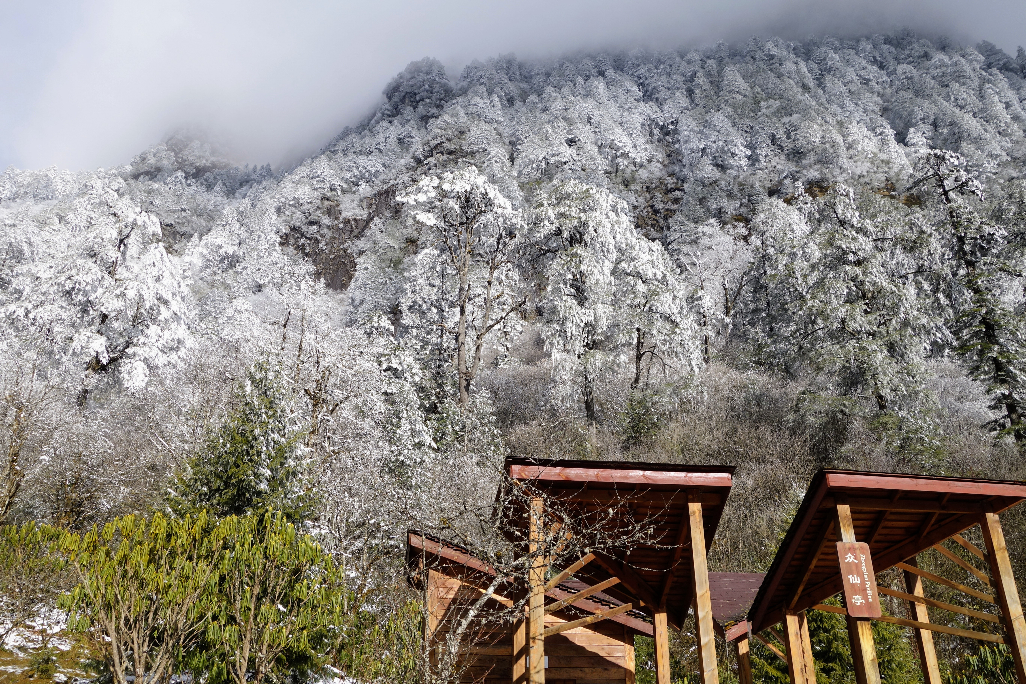 川西圣境游玩攻略,甘孜燕子沟攻略