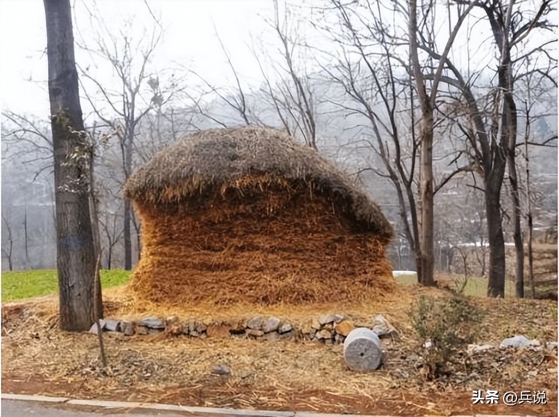 女子看望埋葬在日本的中国烈士,加拿大中国女烈士