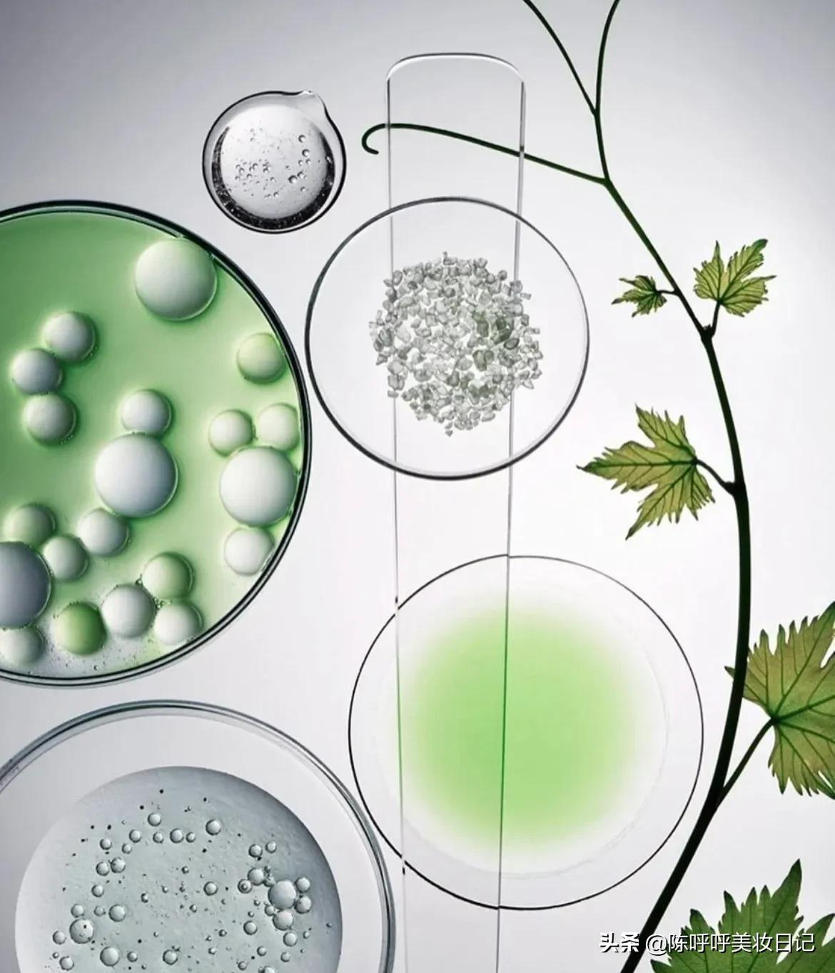 雅诗兰黛小棕瓶和兰蔻小黑瓶谁好,雅诗兰黛小棕瓶vs兰蔻