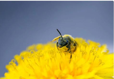 做生意是为了赚钱还是实现价值,做生意赚钱不是你有多聪明