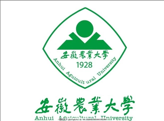 安徽省高校介绍|艺术类一本大学介绍