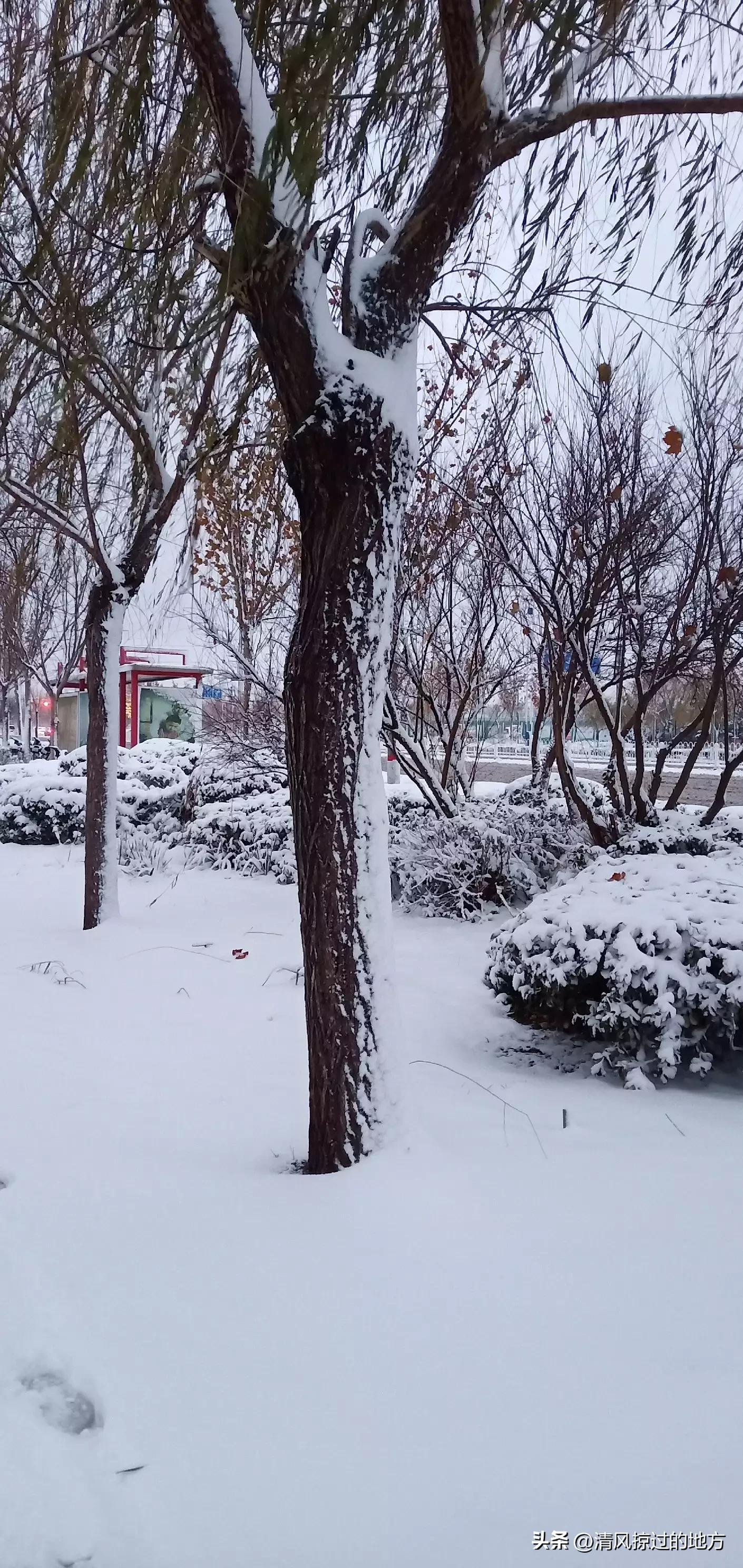 记忆中老家的冬天,记忆里冬天