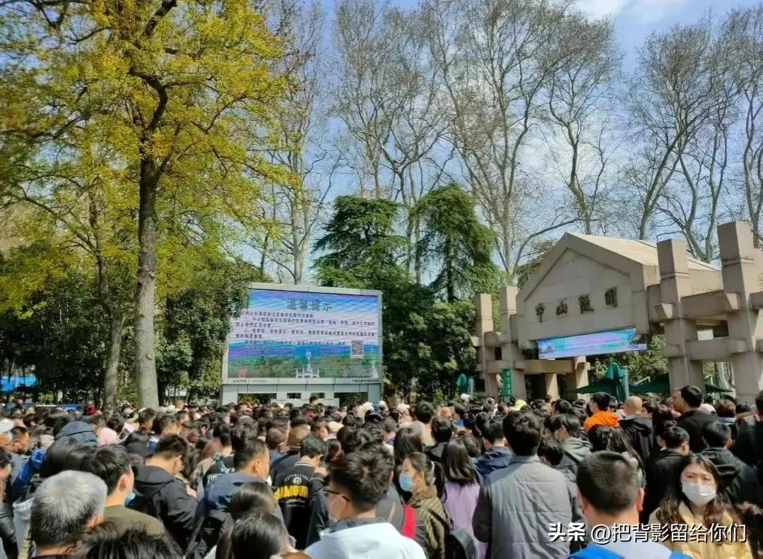 我的大南京，你这是怎么了？