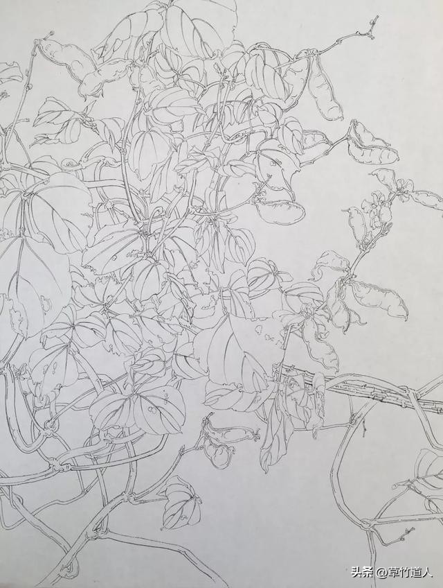 绘画艺术形象及其审美意义,中国绘画的审美特点4字