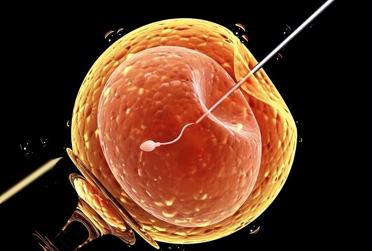 80年代，美国恶魔医生偷换精液，七年间让94名女性不知不觉怀孕