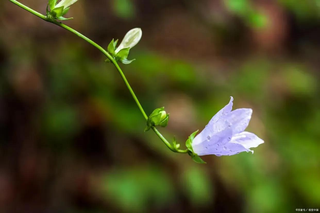 2022年，绿汀文学社《天天诗刊》第24期