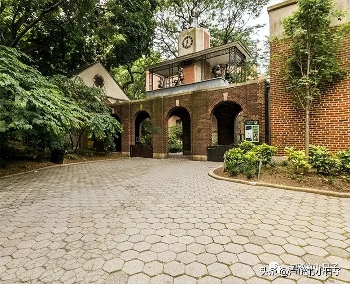 7部让你想走就走的旅行电影,吐血推荐8部关于旅行的电影