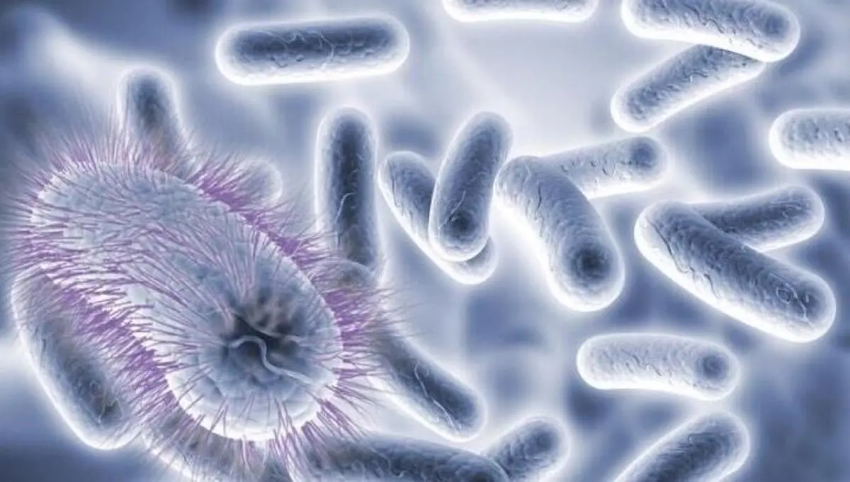 阴毛有什么用？能不能刮掉？由黑变白，意味着什么？