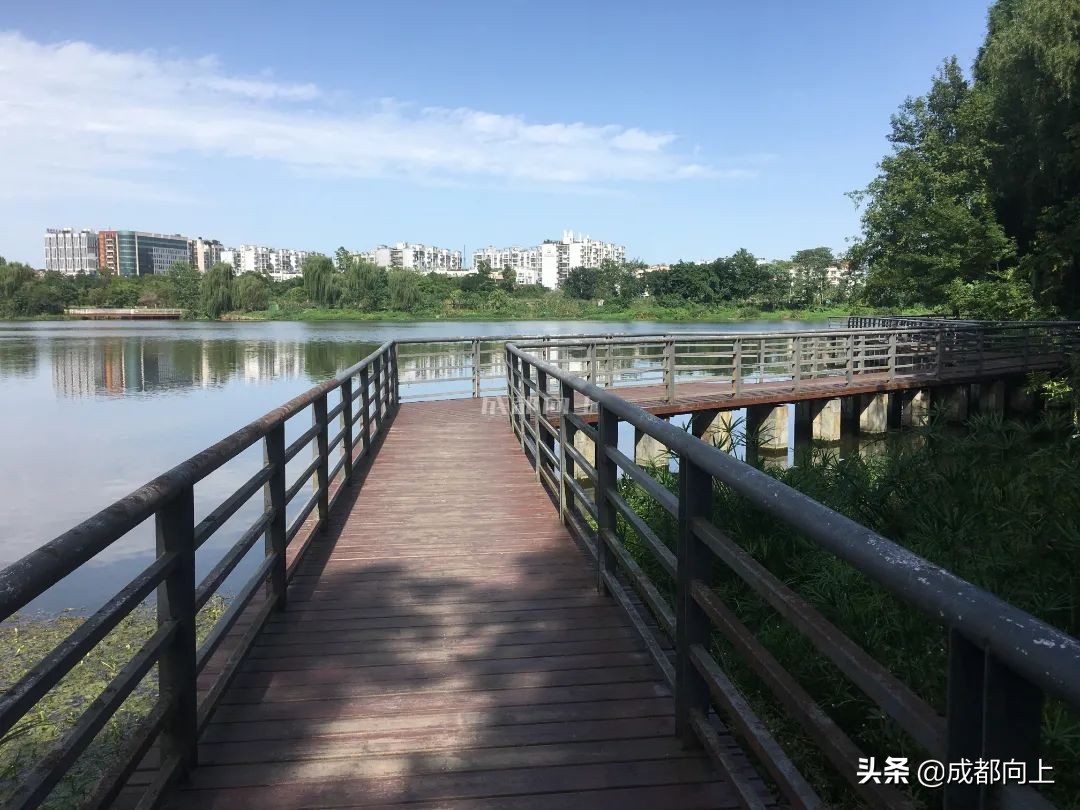 被吹爆的成都国际城南，居然没有拿得出手的体育场馆？