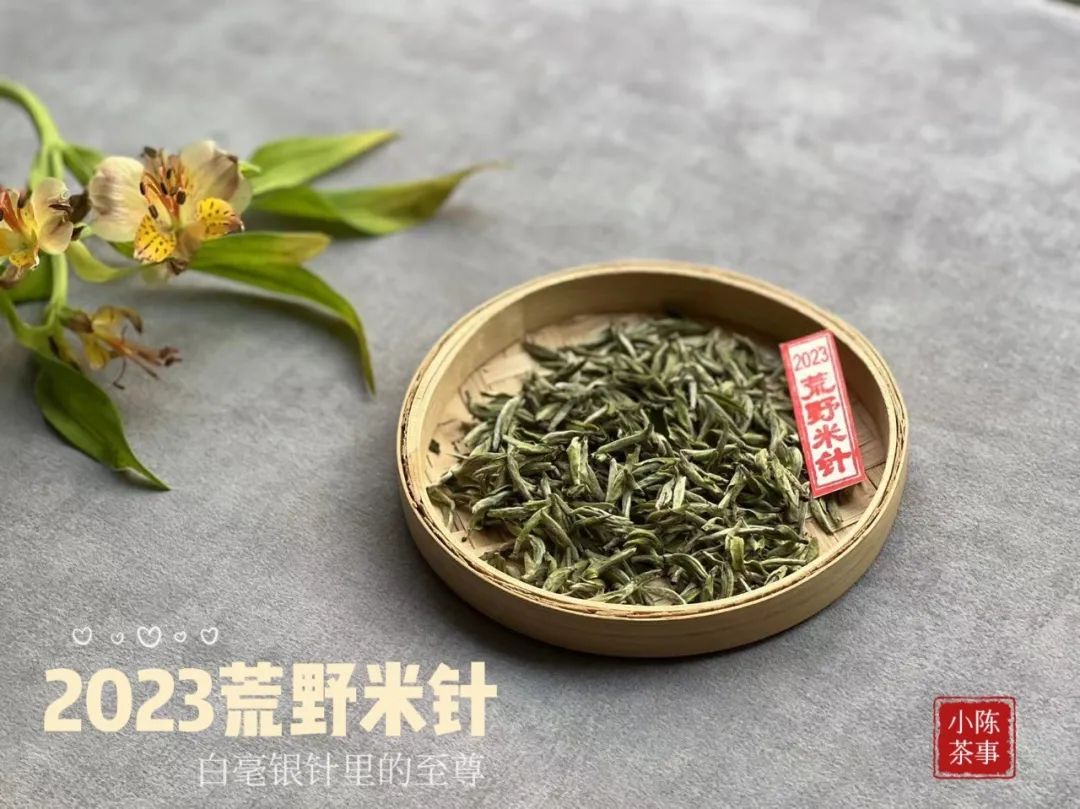 3年的白茶会寒凉吗,新白茶放久了就变成老白茶