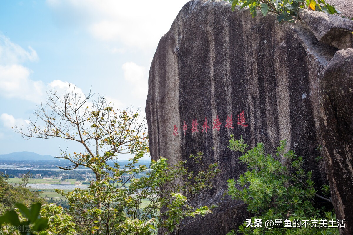 万宁不止产槟榔,还有一种本地人超爱的“芝草”,却走不出海南岛