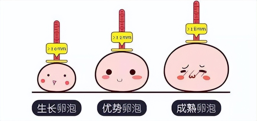 不孕不育知识讲解,不孕不育的十大问题