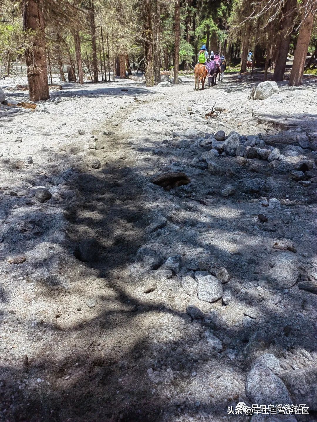 四姑娘山旅游自由行攻略,四姑娘山旅游攻略一日游