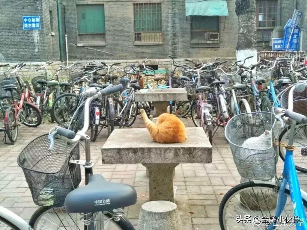 该上清华还是北大,上清华轻松还是上北大轻松