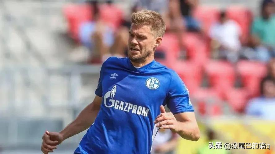 德乙最终积分榜：沙尔克强势升级，不莱梅重回德甲，汉堡待定