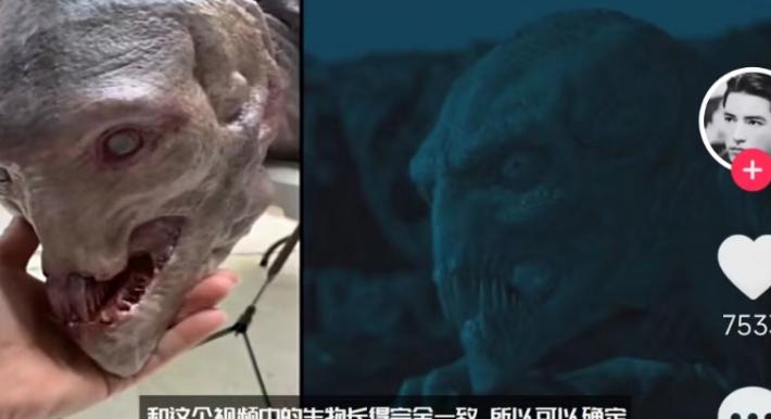 渔民一网捞1500多斤大黄鱼,渔民捞满一网鱼视频