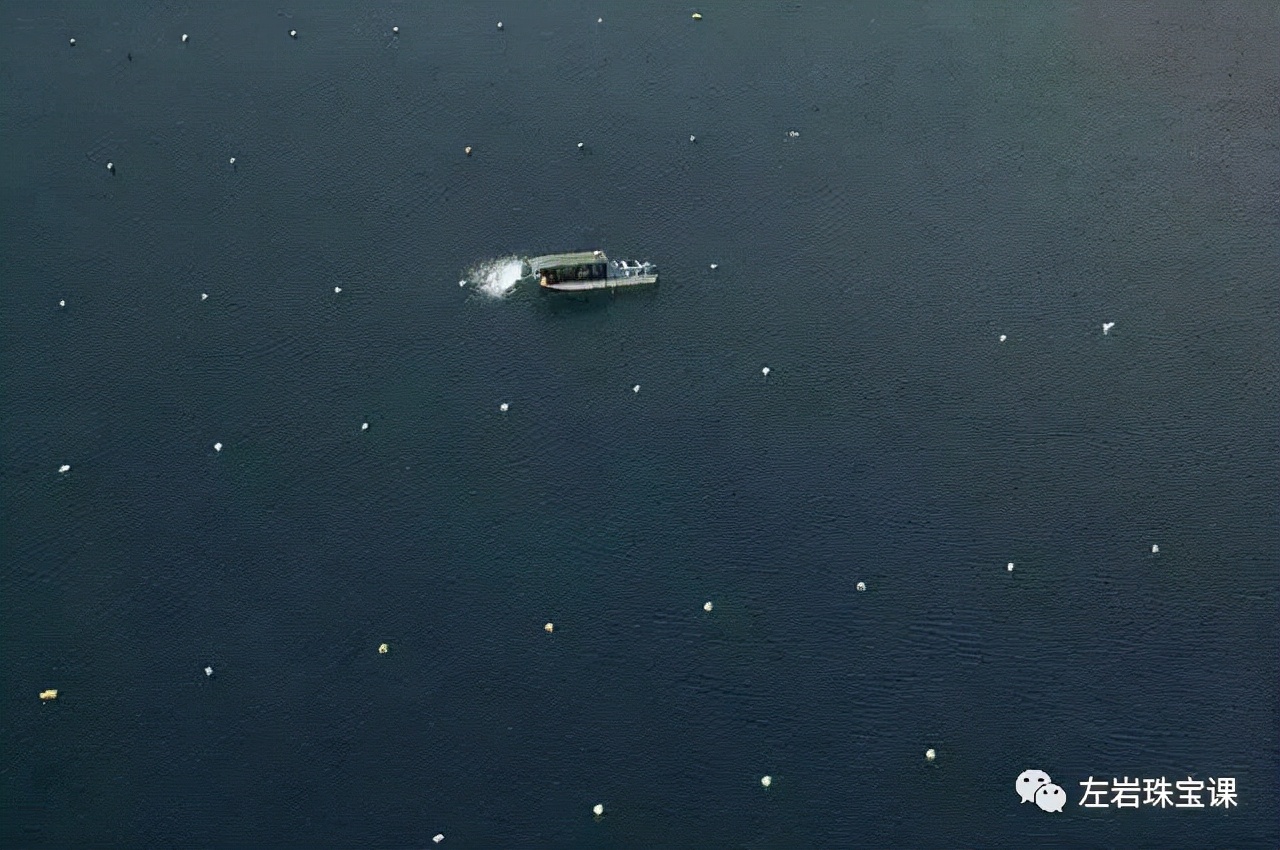 南洋金珠最经典的款式,南洋金珠的功效与作用