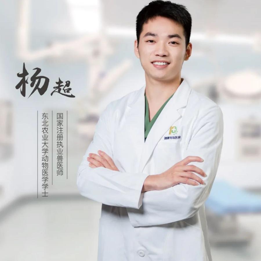 狗狗腰椎骨刺四肢不能站立,狗狗急性椎间盘突出吃什么药