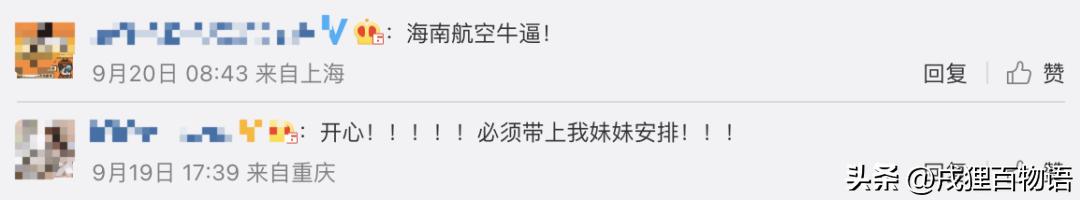 海南航空宠物进客舱,海南航空可将宠物带入客舱