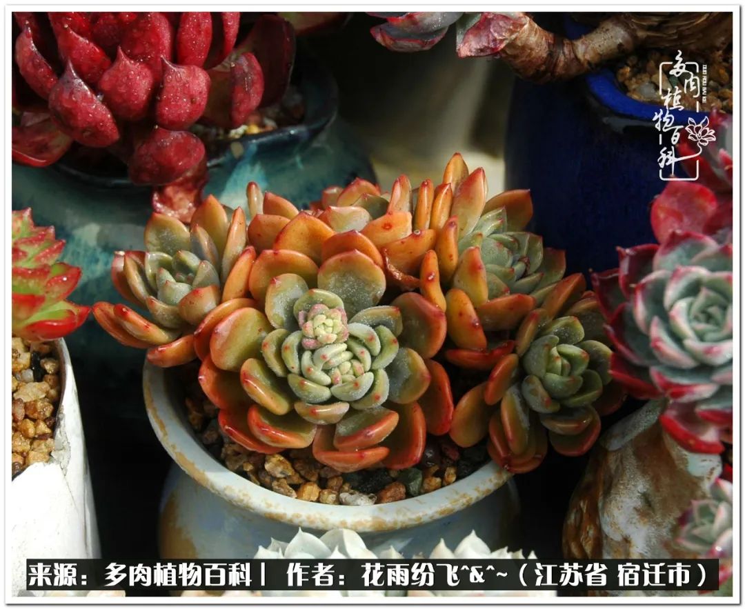 快乐的童年时光视频,回味快乐的童年美好的时光