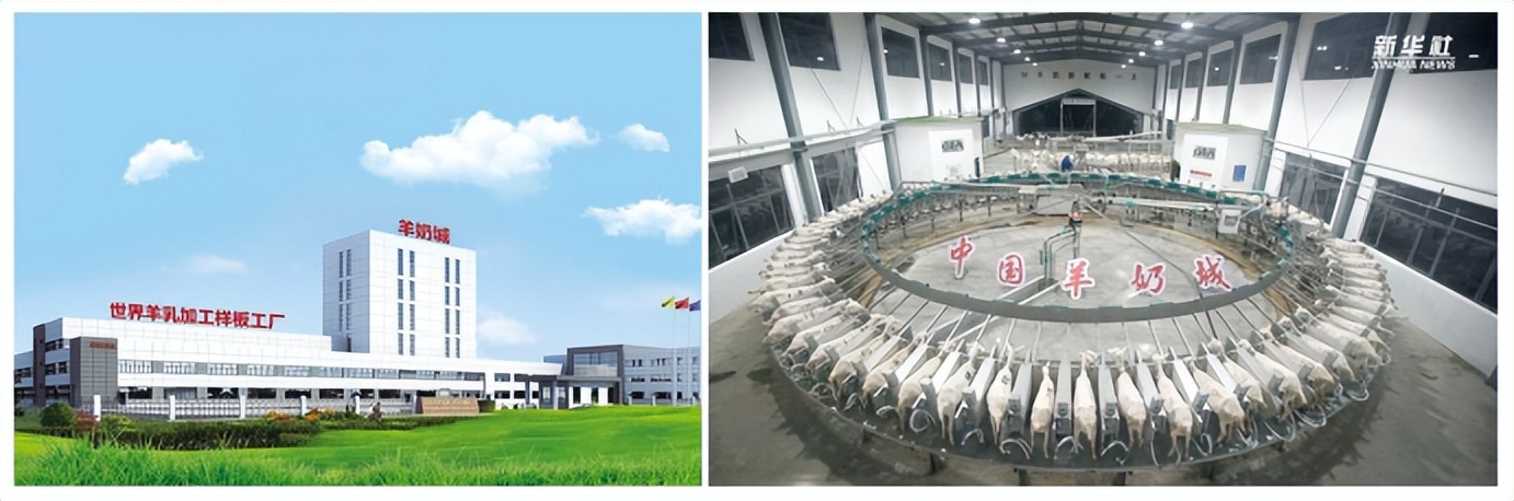 金瑞优羊奶粉属于什么档次奶粉,金瑞优羊奶粉官方旗舰店多少一罐