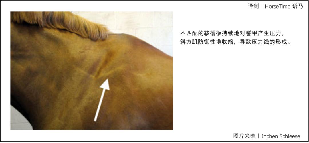 马鞍不匹配会带来哪些危害,马鞍不匹配会造成什么后果