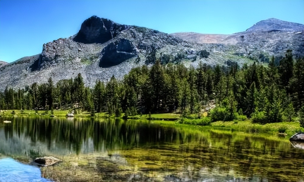 结婚家里放什么水果,结婚适合摆什么水果